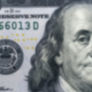$100 Annual Donation