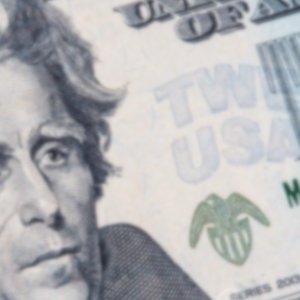 $20 Monthly Donation